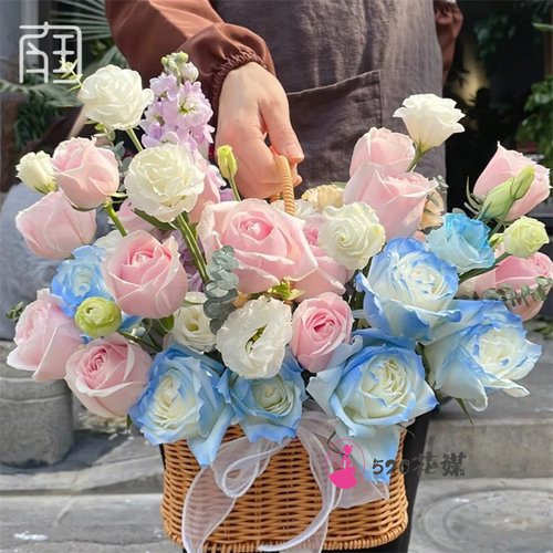 送苏州市姑苏区吴江区常熟市同城鲜花店玫瑰向日葵绣球送朋友生日 - 图3