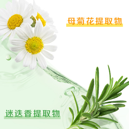 惠润洗发水护发素套装无硅油洗发露植物配方清爽蓬松品牌官方正品 - 图2