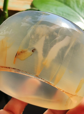 玛瑙印象 纯天然马料龙纹玛瑙手镯加宽轮胎手镯 稀缺高冰大灯泡63