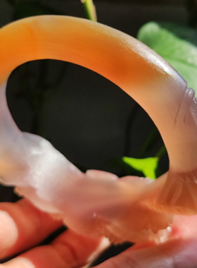 玛瑙印象清新女玛瑙玉髓粉荷花