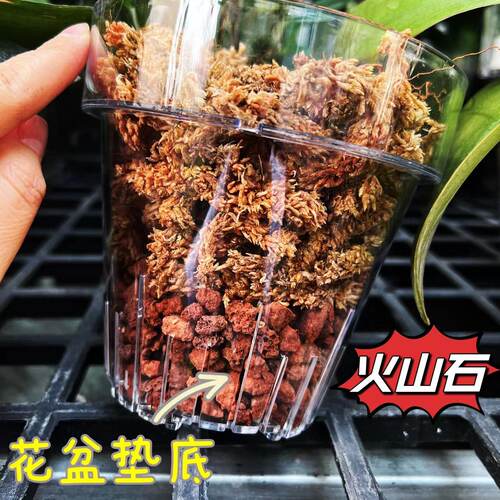 兰花多肉拌土用天然红色多孔火山石花盆铺面垫底 - 图2