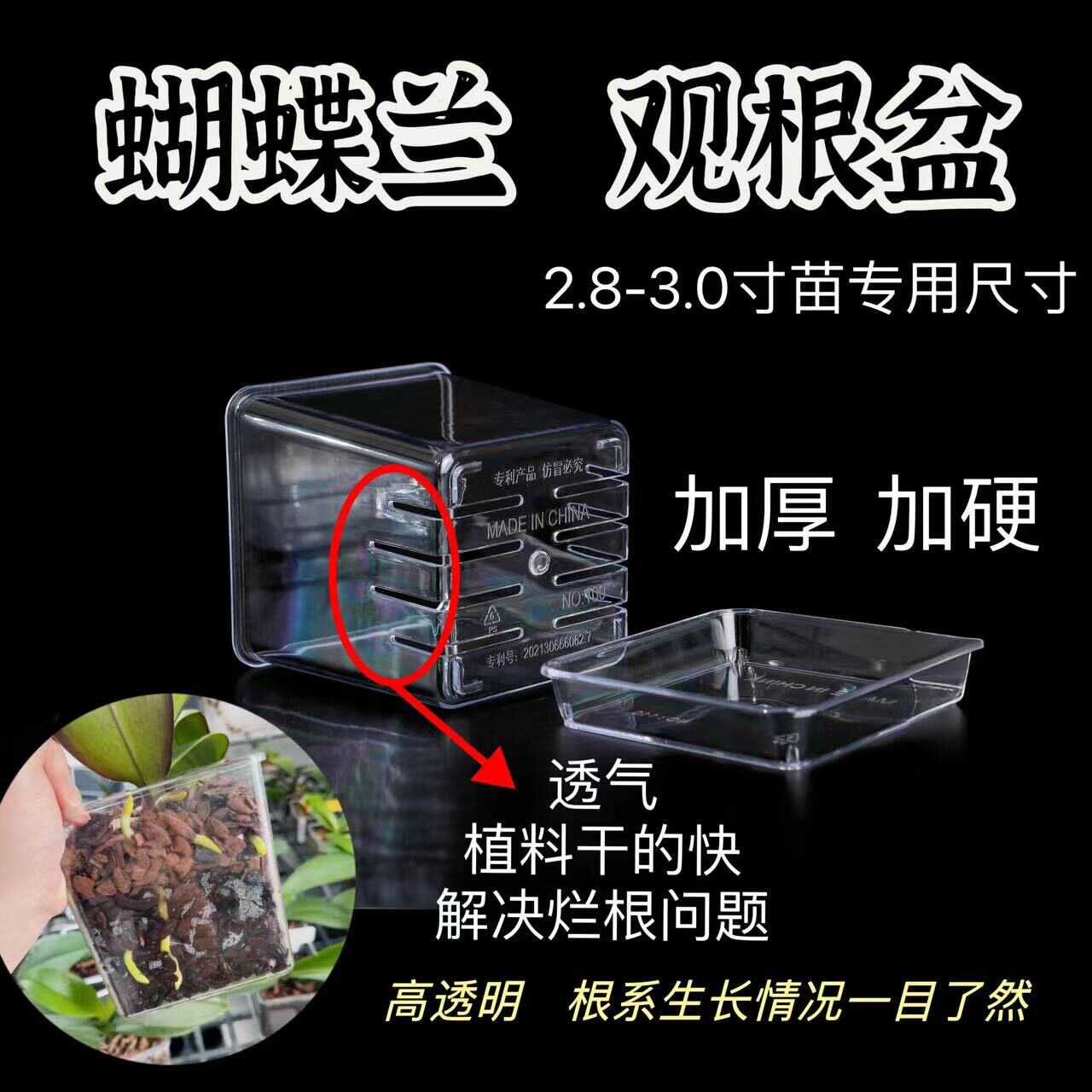 识兰高透明方形透气简约塑料桌面花盆蝴蝶兰洋兰专用观根控根盆 - 图2