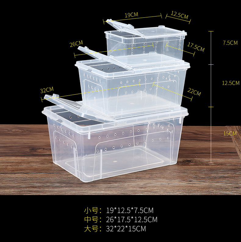 蚕宝宝活体饲养盒爬宠饲养盒蜘蛛守宫蜥蜴蝎子蜈蚣角蛙甲虫饲养箱-图0