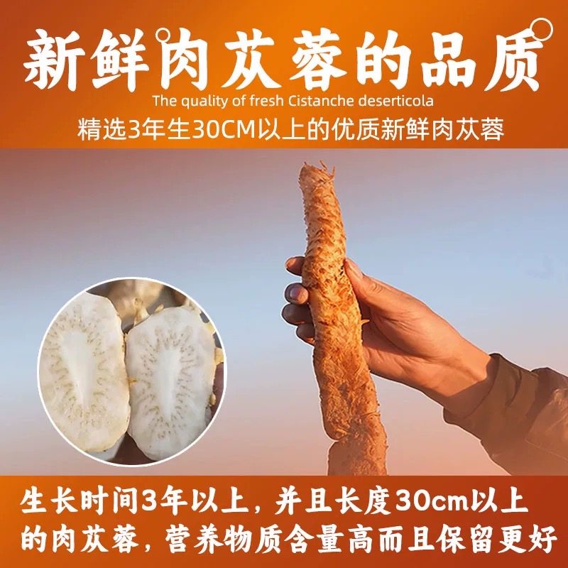 新疆天蓉一号荒漠肉苁蓉精萃浓缩液原浆原液正品双11活动问客服,淘宝优惠券,粉丝福利购,淘宝优惠卷