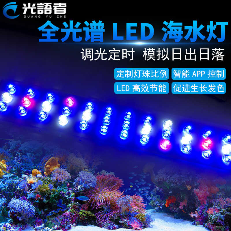 Led海水 新人首单立减十元 22年1月 淘宝海外