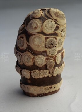 文玩手工紫竹根乌黑原料68