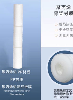 30寸40寸PP微孔折叠滤芯保安精密