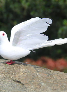 仿真鸽子摆件羽毛大飞鸽小白鸽