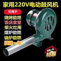 Barbecue Special Blast Blower 220V Home Small firewood stove Blower 150W Barbecue Oven Boiler Blow Carbon Machine