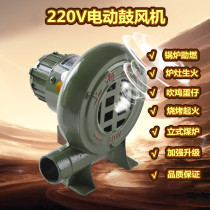 Waste Oil ventilator Home 220V small blowers firewood stoves coal stoves stove boiler Barbecue Combustion-supporting Hairdryer