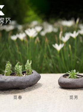 伍家坊觅春 客厅陶瓷花瓶花器创意花盆文艺家居装饰摆件花道花插