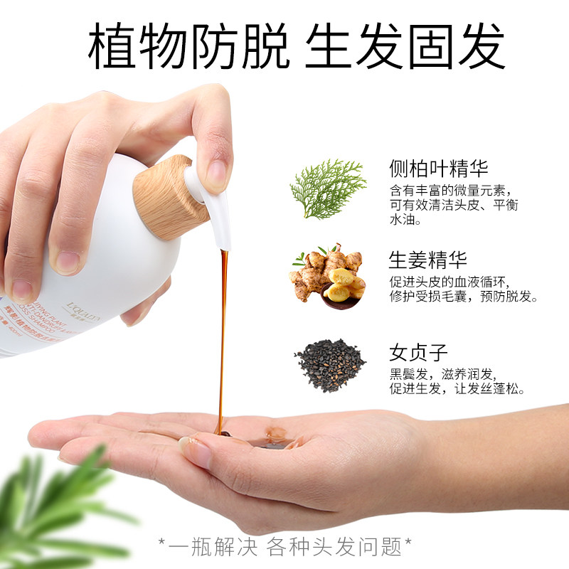 生姜防脱生发去屑止痒控油洗洗发水 欧泉琳洗发水