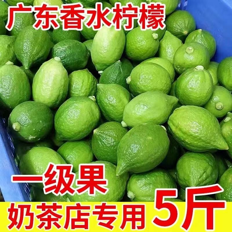 广东香水柠檬一级果青柠檬5斤 10斤新鲜无籽奶茶店手打柠檬茶专用-图1