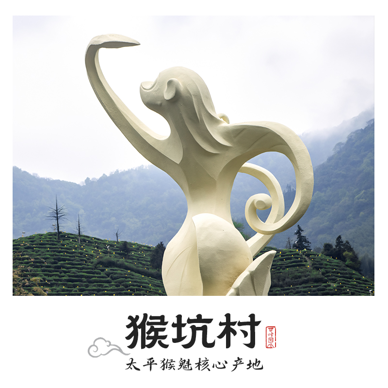 2025新茶太平猴魁茶叶特级绿茶猴坑村手工春茶头采特级断片 - 图0