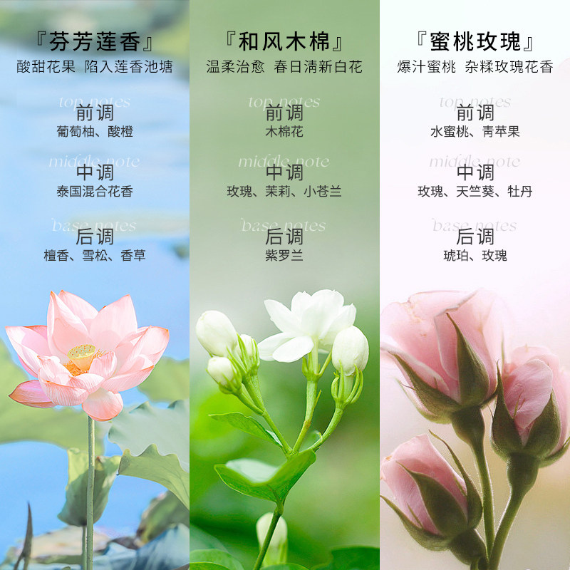 泰国芝芙莲内衣洗衣液 女士内裤清洗液去血渍污渍洗涤剂500ml,淘宝优惠券,粉丝福利购,淘宝优惠卷