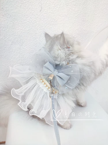 Оригинальные домашние кошки ручной работы, собаки, фея выходят из жилета, тяговая веревка, чтобы вырваться из маленьких юбок принцессы