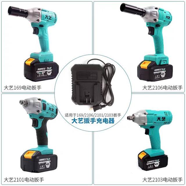 Original Dayi Lithium Battery Charger