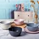Japanese style dining utensils microwave oven bowl