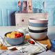 Japanese style dining utensils microwave oven bowl