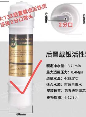 二分口大T33后置载银活性炭