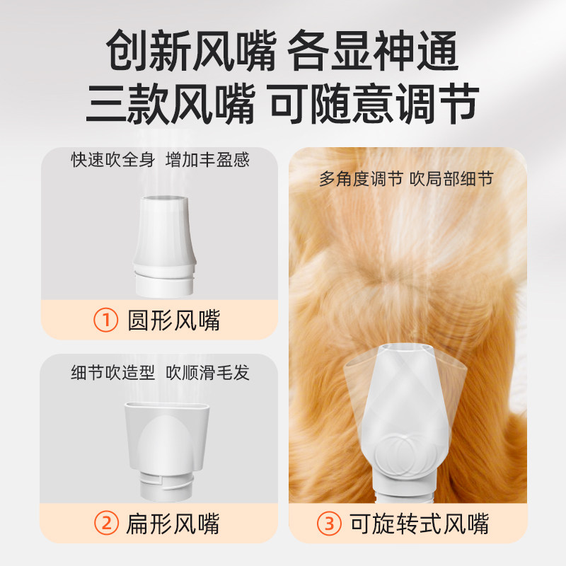 来旺兄弟宠物吹水机狗狗专用大功率吹毛神器洗澡烘干吹风机家用,淘宝优惠券,粉丝福利购,淘宝优惠卷