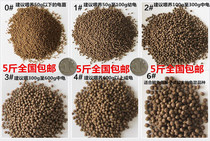 Turtle Feed Stone Gold Money Tortoise Tortoise Tortoise Turtle Tortoise Tortoise Tortoise Turtle Food Turtle Corn Turtle Opening Grain Turtle Feed