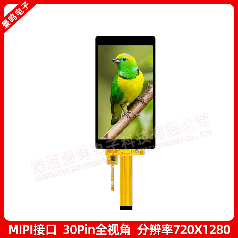 5寸tf显t示屏高清IPS 720x1280竖屏ILI9881驱动液晶屏mipi接口30p - 图0