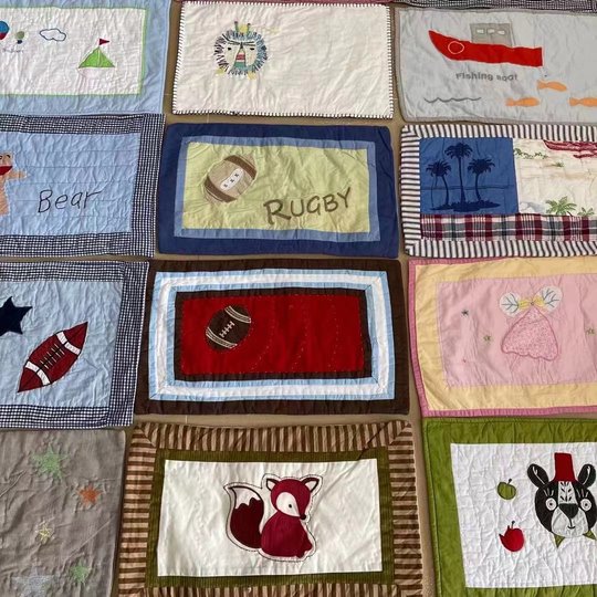 GaLa纯棉卡通刺绣儿童枕套 幼儿园贴布绣枕 柔软吸汗30*50cm单只