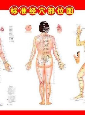 艾灸人体经络图挂图穴位图附常用施灸参考双面图艾灸图纸