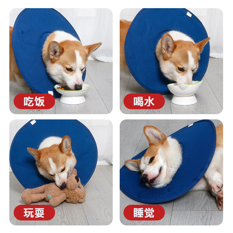 宠物伊丽莎白圈狗狗术后防舔防抓咬项圈中小型犬柯基头套绝育脖圈,淘宝优惠券,粉丝福利购,淘宝优惠卷