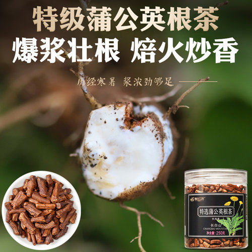 特级野生蒲公英根茶正品官方旗舰店长白山炒浦公英的根茶根大罐 - 图2