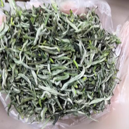五峰采花芽茶2026年头采春茶湖北宜昌炒青绿茶采花芽毛尖三峡 - 图1