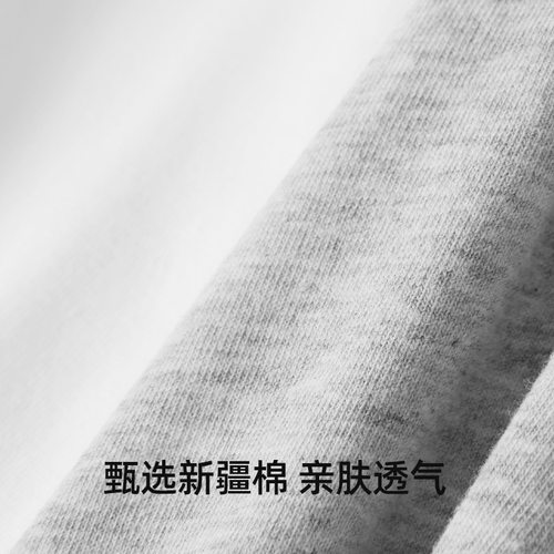 女士中性内裤纯棉平角裤女款运动宽边中腰简约大码舒适柔软透气 - 图2
