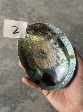全新特价瑕疵品新西兰黑金鲍鱼壳炫彩蓝白鼠尾草燃烧烧盘工具净化