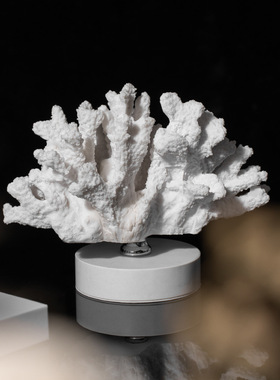 现代轻奢白色珊瑚摆件样板间客厅桌面酒柜书柜家居样板房软装饰品