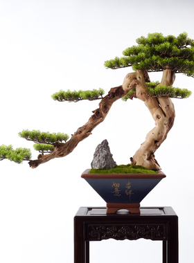 新中式风迎客松绿植餐厅装饰品