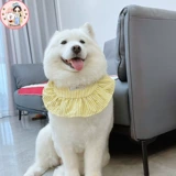 [Маленький хвост питомец] Середина собачья собака милая сатцума золотая маоку водопад ▲ сладкая и сиянская школа