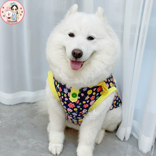 Рюкзак для влюбленных, юбка, жилет подходит для мужчин и женщин, подходит для подростков