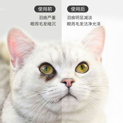 鼻支治疗猫咪滴眼液猫咪眼药水速打喷嚏感冒药诺滴鼻液疱疹病毒 - 图1