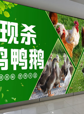 海报壁纸散养土鸭鹅兔土鸡蛋装饰笨鸡蛋广告墙贴自粘贴纸背景墙纸