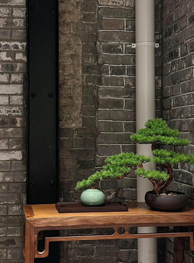 仿真迎客松盆景罗汉松假树新中式客厅玄关茶几摆件绿植盆栽软装饰