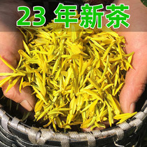 Gold Sprout 2023 New tea Ming prettier Angie gold tea white tea authentic gold bud tea 250g canned