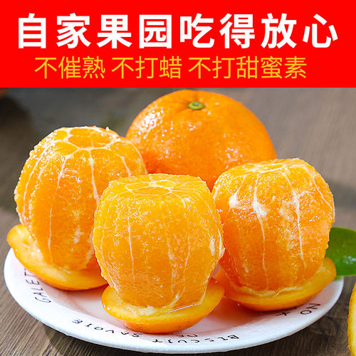 湖南麻阳冰糖橙新鲜水果10斤包邮现摘当季时令新鲜水果超甜孕妇9 - 图0