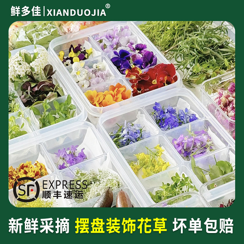 西餐摆盘装饰花草新鲜食用花烘培蛋糕装饰叶子薄荷叶清香木三色堇-图1