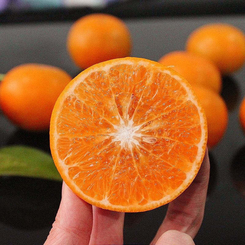 9斤特大沃柑正宗广西沃柑很甜大果新鲜橘子水果皇帝橘柑桔子,淘宝优惠券,粉丝福利购,淘宝优惠卷