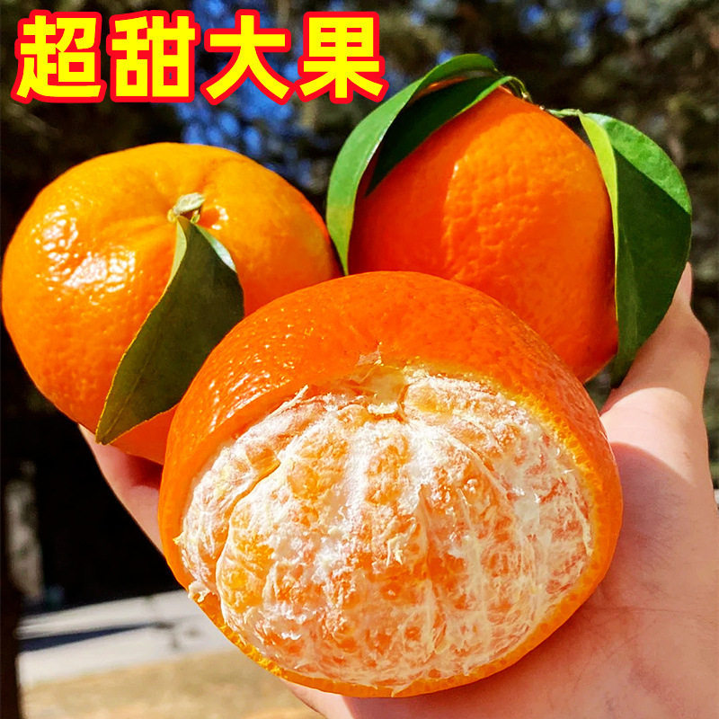 9斤特大沃柑正宗广西沃柑很甜大果新鲜橘子水果皇帝橘柑桔子,淘宝优惠券,粉丝福利购,淘宝优惠卷