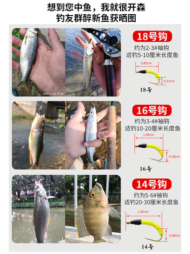 小柒家荧光若虫鱼鳞飞蝇钩马口白条路亚溪流微物假饵瓜子亮片套装 - 图3