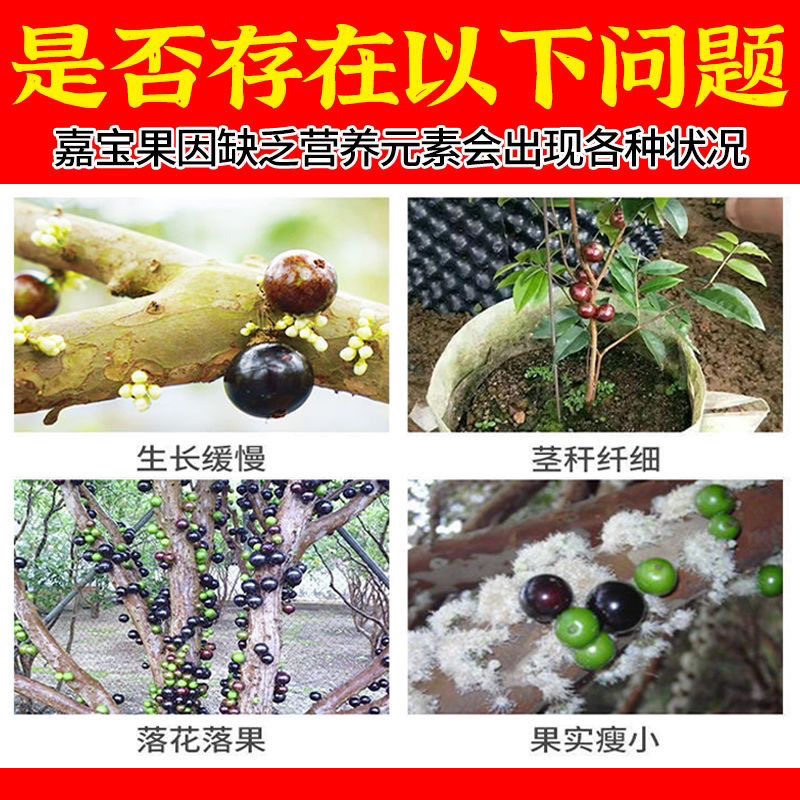 嘉宝果专用肥料10斤装珍宝果挂果树葡萄营养液有机复合颗粒缓释肥-图0