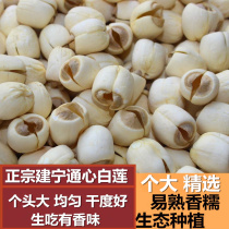 2023 Fujian Liannons home handmade Jianning lotus seed Tongtong Heart Big White Lotus without Core Even Dried Goods Place of Origin 500g