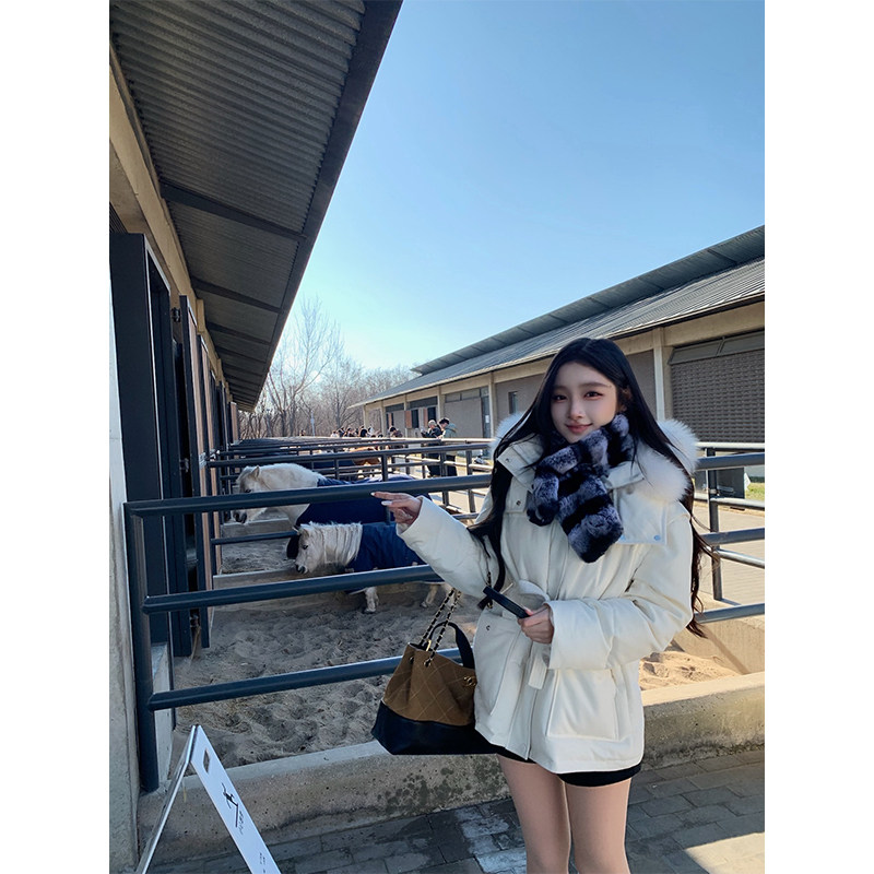 DUCHUNZI   醋酸羊毛 蝴蝶结百搭短裤秋冬款磨毛显瘦高腰裤子女,淘宝优惠券,粉丝福利购,淘宝优惠卷